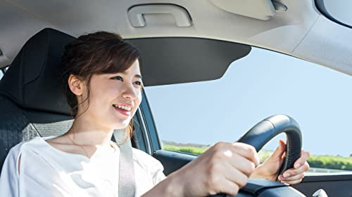 TuckVisor Limo Tint Car Sun Window Shade Visor Shades Sunshade Visors Extender 2 Pack