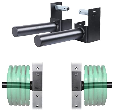 SYL Fitness Olympische Hantelscheiben-Halterung, Power-Rack, Befestigung für Gewichte, Aufbewahrung, passend für 7,6 x 7,6 cm große Regale (1,6 cm und 2,5 cm Loch)