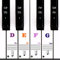 Piano Stickers, Piano Keyboard Stickers for 88/61/54/49/37 Keys, Transparent Removable Piano Keyboard Note Labels for White and Black Keys, for Beginners Kids Learn to Play