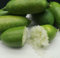 Semillas de semilla de limón Caviar FAUSTRIM LIME-ICE - 12 semillas