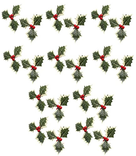 BEALIFE 20 PZ 10 MM Natale Artificiale Agrifoglio Bacca Foglie Verdi Ornamento Simulazione Vivido Leggero Solido Giardino per Secco, Foglia di Frutta Rossa