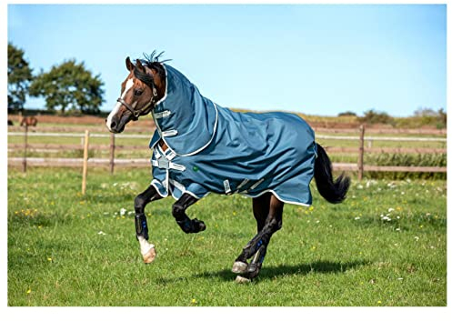 AMIGO Outdoor-Decke für Pferde Horseware AmEco 12 Plus Turnout 100g