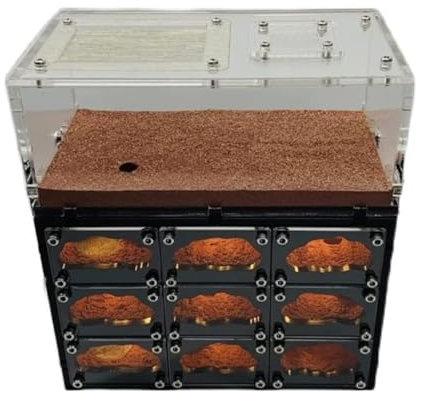 REEKOS Ameisenhaus Ameisenfarm Ameisenburg Klassische Ameisenburg Beton Ameisennest Schwarzes Loch Nest Ameisenfarm Ameisennest Farm Mit USB-Ladekabel Ameisennest Ameisen Zucht Box