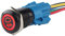 ETOPARS Schwarze Schale 19mm KFZ Kippschalter Wippschalter Druckschalter Schalter Drucktaster 12V Rot Licht Metall Nebelleuchte Steckdose Stecker