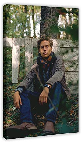 Schauspieler Cole Sprouse 33 Leinwand-Poster, Wandkunst, Dekor, Bild, Gemälde für Wohnzimmer, Schlafzimmer, Dekoration, Rahmen: 40 x 60 cm