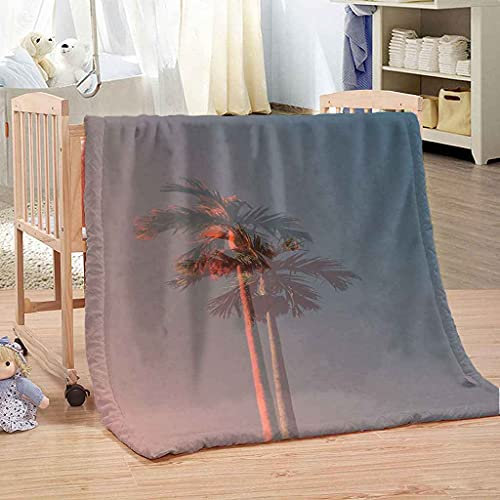 YHDNP Flanell Decke Für Kinder Erwachsene Winter-Kokosbaum-Schneeszene 3D Bett Sofa Couch Stuhl Heim Auto Büro Leicht Kuscheldecke Flauschig Für Alle Jahreszeiten Geschenk Wohndecken 70x100cm