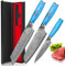 Set Coltelli da Cucina Damascato, 3 Pezzi, Set Coltelli da Chef in 67 Strati di Acciaio Damascato Vg-10, Coltello Kiritsuke Professionali, Manico Ergonomico in Resina Naturale, Confezione Regalo