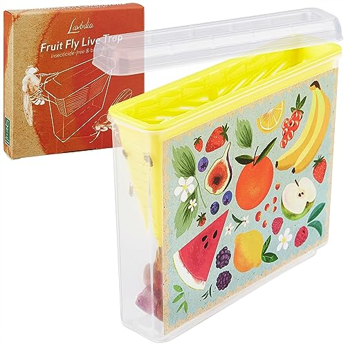Trampa para moscas de la fruta: trampa ecológica para moscas de la fruta para cocina e interior, sin insecticidas, trampa para moscas de la fruta para cocina, apta para lavavajillas, trampa para