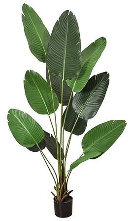 Simulationsreisende Banane 90/120/160/180 cm Plastik Künstliche Pflanze Groß Areca Palme Im Topf Wohnzimmer Balkon Schlafzimmer Grün Deko (1 Pack)(1.2m)