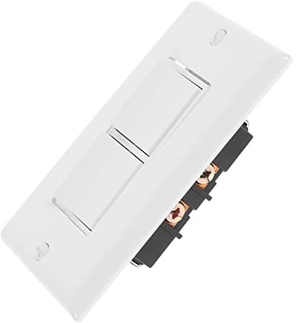 Didiseaon Interruptor de Luz Doble 10A Eléctrico con Placa de Pared Diseño Moderno para Uso Residencial y Comercial Incluye Tornillo 2 Interruptores