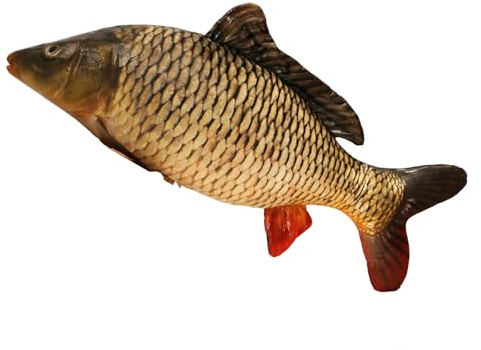 Xiyocadt Riesiges Fischkissen, 3D-Simulation, Fisch, Stofftier,lustige Fisch Kissen Großes,Simulations Fisch-Plüschtier lustiges Fischkissen, weiches Kuscheltier Kissen für Zuhause (40cm,Karpfen)