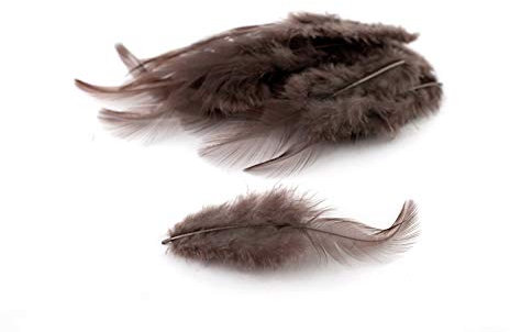 3g Hahnenkreuz Federn ca. 8-13cm (taupe 823) // Dekofedern Bastelfedern Federn Hahn Natur Schmuckfedern Vogelfedern Hahnenfedern