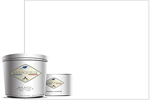 Peinture Résine Blanc Titanium - Résine Epoxy Bi-Composants - Effet Mat - Peinture Mur, Plafond, Boiserie, Carrelage & Métal - Lessivable - COV A+ - Fabriquée En France - 750 ml - BARBOUILLE