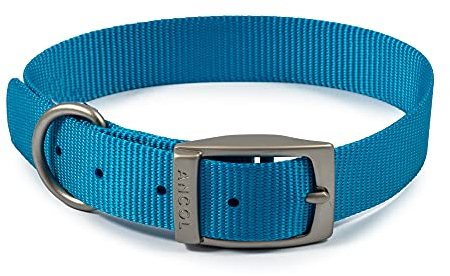 Ancol Viva Hundehalsband, leicht, bequem, wetterfest, mit Schnalle, Haustier-Trainingszubehör, 35–43 cm, Größe 4
