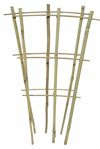 Natural Eco-Friendly Bamboo Cane Plant Pot Fan Trellis Outdoor Garden Planter Climbing Plant Support Frame Stake Stick Pole (4, 110cm)