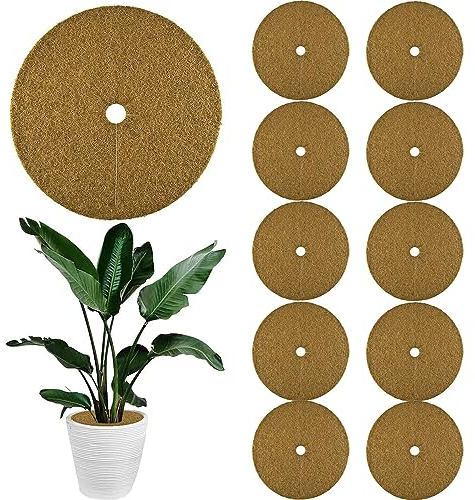 ZDQC 10 Stück Kokos Mulchscheibe,Ø 30CM Kokosscheibe,Kübelabdeckung Kokos,Kokos Pflanzenschutz,Winterschutz Kokosmatte,Winterschutz für Kübelpflanzen,Kokosnussfasern,Winterschutz Kokos (30cm)