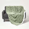 Homescapes Samt Kuscheldecke Salbei 200x230 cm, Sherpa Fleece Wohndecke Felloptik, grüne Tagesdecke geometrisch Gemustert