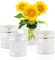 Lot de 4 Vase Cylindrique en Verre, Vase à Fleurs, Hurricane Candle Holder 8.5x10cm, Porte-Bougie Haute, Bougeoirs Ouragan Transparent, Bougeoir Flottant pour DéCoration de Table de Mariage (B)