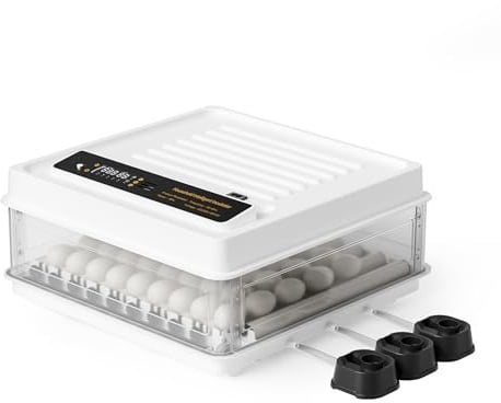 Fudajo Vollautomatischer Flächenbrüter für 64 Eier, Inkubator 110 W mit Wendesystem, Brutautomat mit Temperatursteuerung und Feuchtigskeitsregulierung, Brutkasten zum Eier ausbrüten