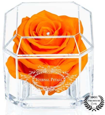 A 100% Real Rose That Lasts Years - Eternal Petals, Handmade in UK – White Gold Solo with A Clear Crystal (Orange)