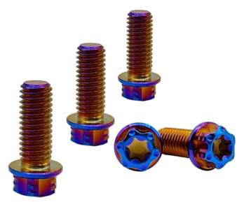 RISON-Titanium Titanschrauben M10x1.25x30mm, 5 Stück Flanschschraube Torx Kopf Flansch Schrauben Sechskantschrauben Gewindeschrauben GR5 Titanbolzen Befestigungen für Motorräder Fahrrad Auto