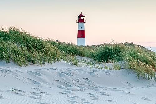 Queence | Küchen Spritzschutz Strand Dünen 80x60x0,3 cm | Küchenrückwand | Alu-DiBond | Fliesenschutz für den Herd und Spüle | Küchenfliesen | Fliesenspiegel | Rückwand