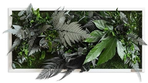 styleGREEN Pflanzenbild im Dschungeldesign 57x27cm Vollholz (weiß)