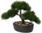Kunstbonsai Naturgetreue Künstliche Pflanze Kunstbaum Bonsai Zeder Kiefer Podocarpus Plastik Pflanze Kunstpflanze mit Keramik-Übertopf in Schwarz für Baddeko Desktop Büro Fensterbank