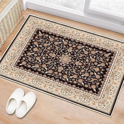 Boho Fußmatte Teppich Wohnzimmer Waschbarer Fussmatte Vintage Kurzflor Türmatte Carpet Orientalisch Teppich Rutschfest In und Outdoor Schmutzfangmatte Für Eingang Haustür Patio Flur Garten 50x80cm