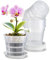 IWTTWY 8 vasi per orchidee trasparenti, 16 cm, in plastica, con foro di drenaggio e vassoio, vasi per piante da appartamento, vasi per piante da vivaio, kit per rinvaso di orchidee, vasi per piantine