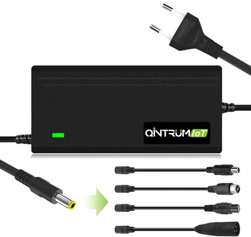 Qintrumiot Caricabatteria Bici elettrica 54,6V 2A caricatore bici elettrica, 48V monopattino caricabatterie,13S 48V carica batteria agli ioni di litio