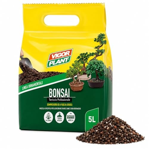 5 LITRI Terriccio Bonsai di Conifere e Latifoglie - Substrato con Pomice Vulcanica e Argilla - OTTIMO Drenante e Aerato per Radici Sane - Ideale per Rinvaso e Coltivazione in Vaso