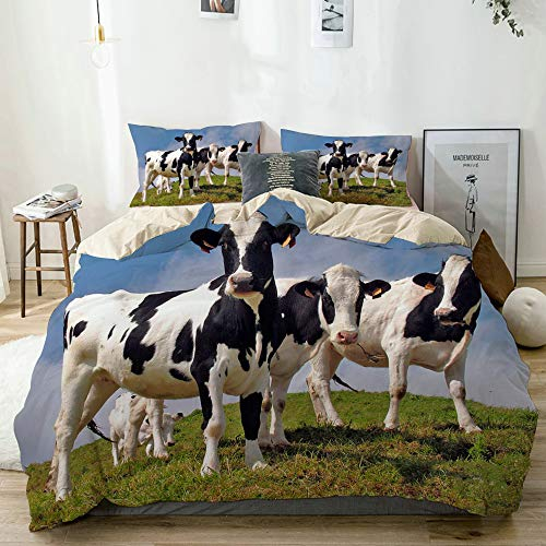 MAYBELOST Bettwäsche-Set,Mikrofaser Beige,Landwirtschaft Tiere Haltung Azoren Rinder Landschaft Kuh Farm Herde posiert Gras Hügel,1 Bettbezug 135x200 + 2 Kopfkissenbezug