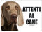 LOVELYTILES Weimaraner Achtung Hund Nummernschild aus Metall (20 x 30)