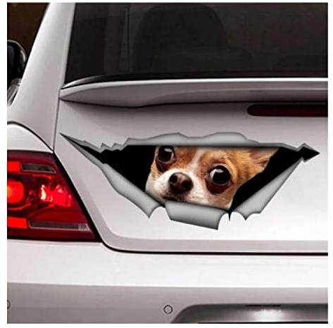 Auto Sticker Autoaufkleber Lustig Dog Lustige Chihuahua-Auto-Aufkleber, Chihuahua-Auto-Aufkleber, D-Aufkleber, Autodekoration, Haustier-Aufkleber, Hund-Aufkleber, Hund-Aufkleber(15Cm)