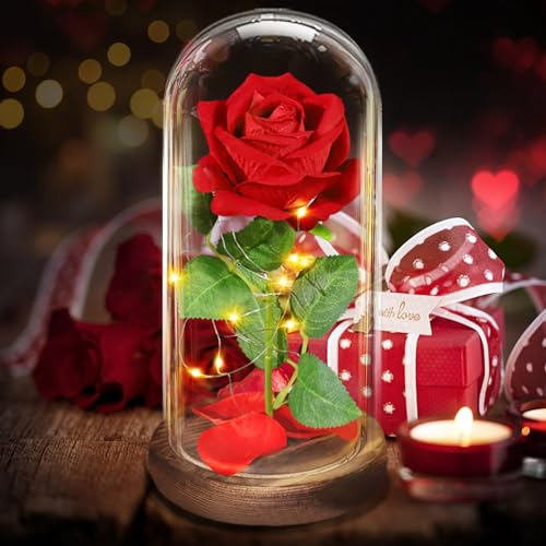 BOLEi Ewige Rose im Glas für Sie, Romantische Rosen, Die Schöne und das Biest Ewige Rose, Rose im Glas mit LED Licht für Frau, Jahrestag Festival Überraschung Rose für Freundin(Romantische Rote Rose)