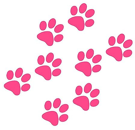 Adesivo per Auto, Adesivi Zampe Gatto Impronte per Macchina Decalcomanie Adesivo per Auto Adesivo per Auto Adesivo per Decalcomania Adesivo per Auto per Auto Moto Roulotte Pareti