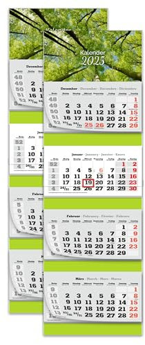PRIMUS PRINT XXL Kalender 2025 - Mehrblock Wandkalender - 4-Monatskalender - Jahres Blockkalender - mit Datum Schieber - inklusive Feiertagen und Ferien - verschiedene Motive - [ 2x Bäume ]