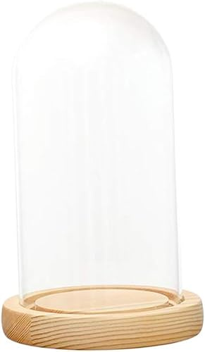 Gcljlmy Campana decorativa de cristal de alta calidad con base de madera (F 12 x 20 cm)