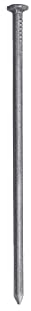 siwitec Drahtstifte blank, 5 kg, 5,5 x 160 mm, Bau- und Tischlerstifte, universell einsetzbare Drahtnägel, Nägel
