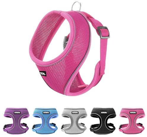 AIITLE Geschirr für kleine Hunde, dreilagiges atmungsaktives Netzgewebe, verstellbare Passform und reflektierendes Design, würgefreie Weste zum Überziehen über den Kopf (S, Heiß Rosa)