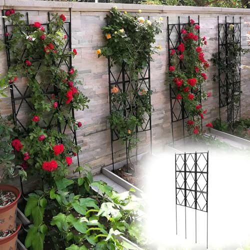 Faltbares Rankgitter aus Metall, Eisen, dekorative Gartenzaunstütze für Blumen und Ranken, stabiles Wand-Design (180 x 60 cm)