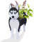 Siberian Husky Dog Planter - Cute PVC Herb Garden Flower Pot for Indoor/Outdoor Plants for Pet Lovers - 9.45 x 5.67 x 13.39in