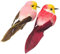 Oiseaux décoratifs avec Pince - Rose et Rouge - 2 pièces - 8 x 2,7 x 3 cm - Sujet de décoration, Printemps, noël, Objets décoratif