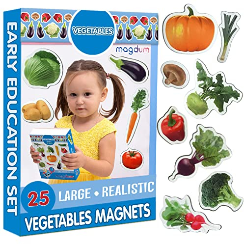 Magdum 25 GEMÜSE FOTO Magnete Kinder für magnettafel - Magnet spielzeug kinder - KINDER MAGNETE- Kühlschrankmagnete Kinder -Kühlschrank Magnete set Kinder -Spielzeug ab 3 jahre - Lernspiele ab 3 jahre