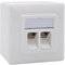 maintec CAT8.1 Universal Netzwerkdose, 40 Gbit/s Ethernet, Aufputz oder Unterputz, 2x RJ45 Keystone geschirmt, EIA/TIA-568-A/B 8P8C, Abwärtskompatibel zu CAT8, CAT7, CAT6a, CAT6, CAT5e, CAT5 …, weiß