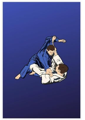 Jujitsu Judo-Action-Sport-Fitness-Poster, Leinwand-Poster, Schlafzimmer, Dekoration, Landschaft, Büro, Raumdekoration, Geschenk, ungerahmt: 30 x 45 cm