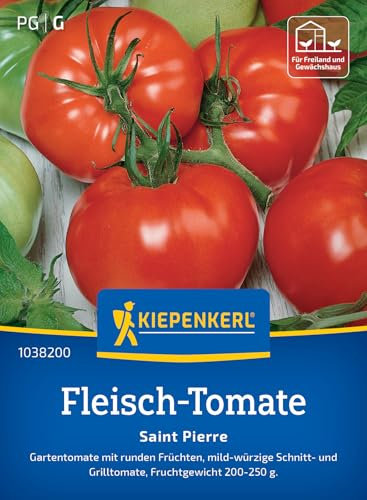 Kiepenkerl Fleisch-Tomaten Samen 1038200 - Gartentomate - Fruchtgewicht 200-250g - Inhalt für 25 Pflanzen - Gemüsesamen, Samen Gemüse, Saatgut, Gemüse Pflanzen