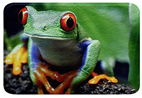 Sunnybed Rote Augen Frosch Badematte,Frosch Familie Teppich Fußmatte,Tierthema Türvorleger für Badewanne,Badezimmer Boden Rutschfester Absorbierender Plüschteppich 20'X32', Multi 20