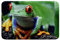 Sunnybed Rote Augen Frosch Badematte,Frosch Familie Teppich Fußmatte,Tierthema Türvorleger für Badewanne,Badezimmer Boden Rutschfester Absorbierender Plüschteppich 20'X32', Multi 20